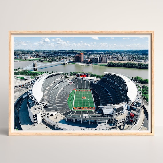 Buy Paycor Stadium, Home of the Cincinnati Bengals Online in India