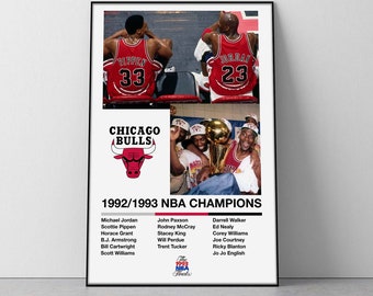 goodboyVTG Vintage Chicago Bulls Shirt NBA Championship Michael Jordan 90s Basketball All Over Print 1993 V3