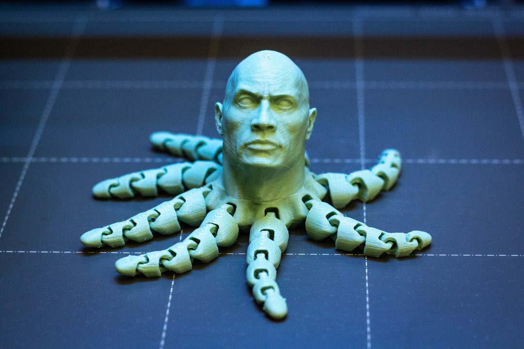 Rock Imposter • Sus Rock • 3D Printed Fidget Figurine • Stress