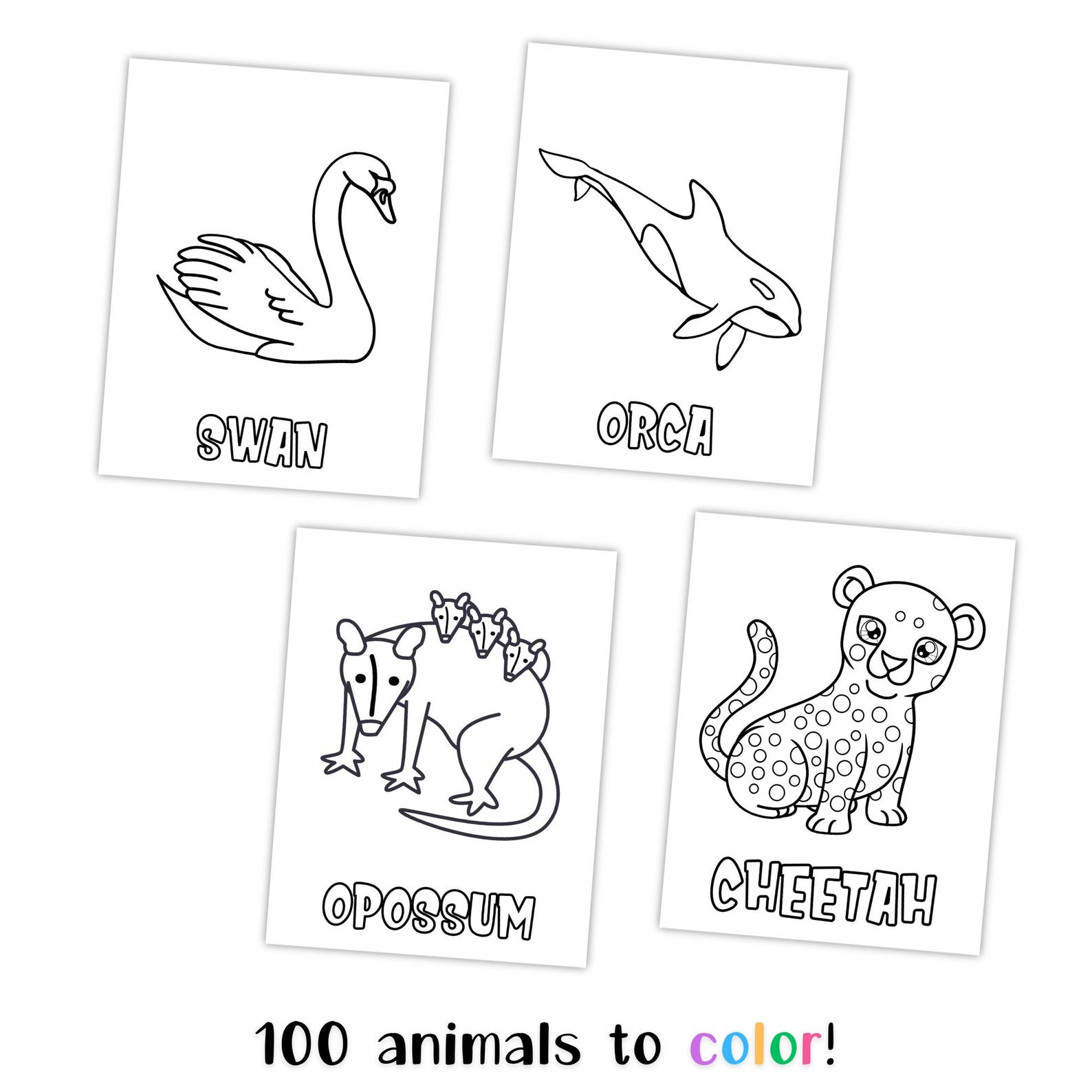 100 Printable Animal Coloring Pages With Labels for Kids and Toddlers ...