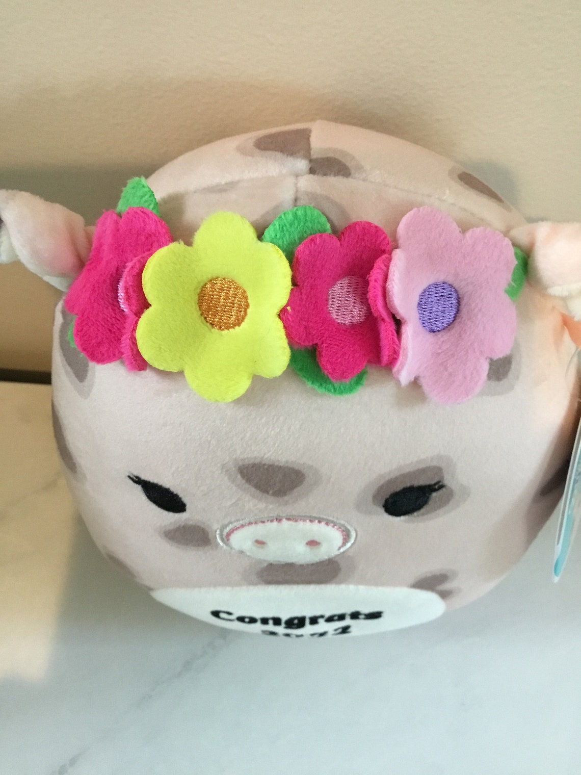 Aquitaine squishmallow
