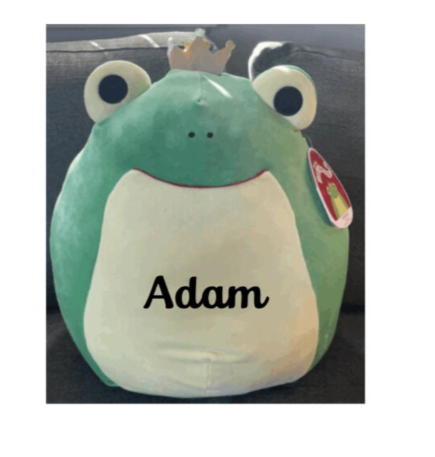 fanina frog squishmallow