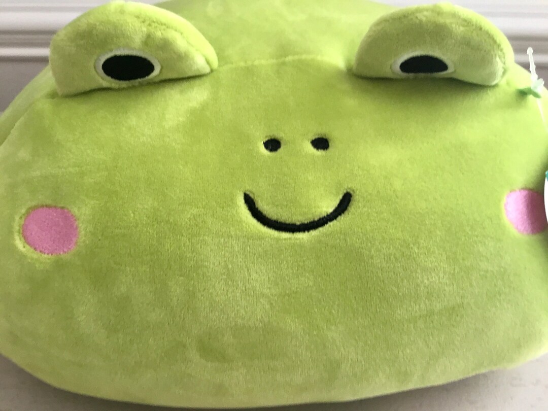 Frog Squishmallow Stackable Custom/personalize With Name Etsy