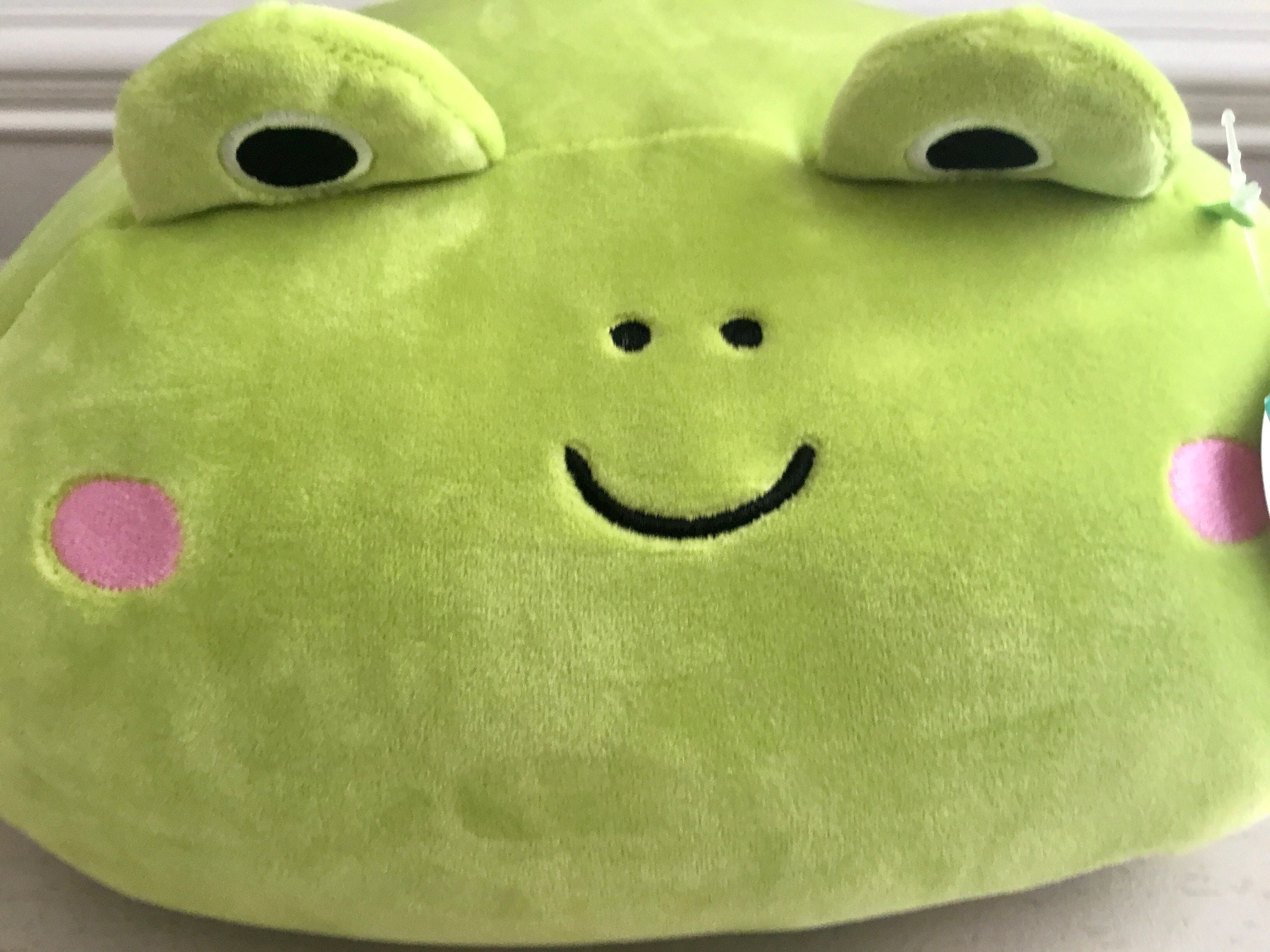 Frog Plush Pillows Frog Pillow Plush 8 Compatible with Squishmallow Frog Plushies Wendy The Frog Pillows Frog Plush Toy Stock in US 
