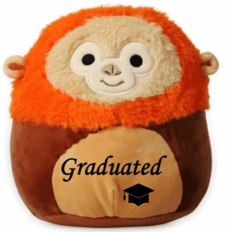 brown monkey squishmallow name
