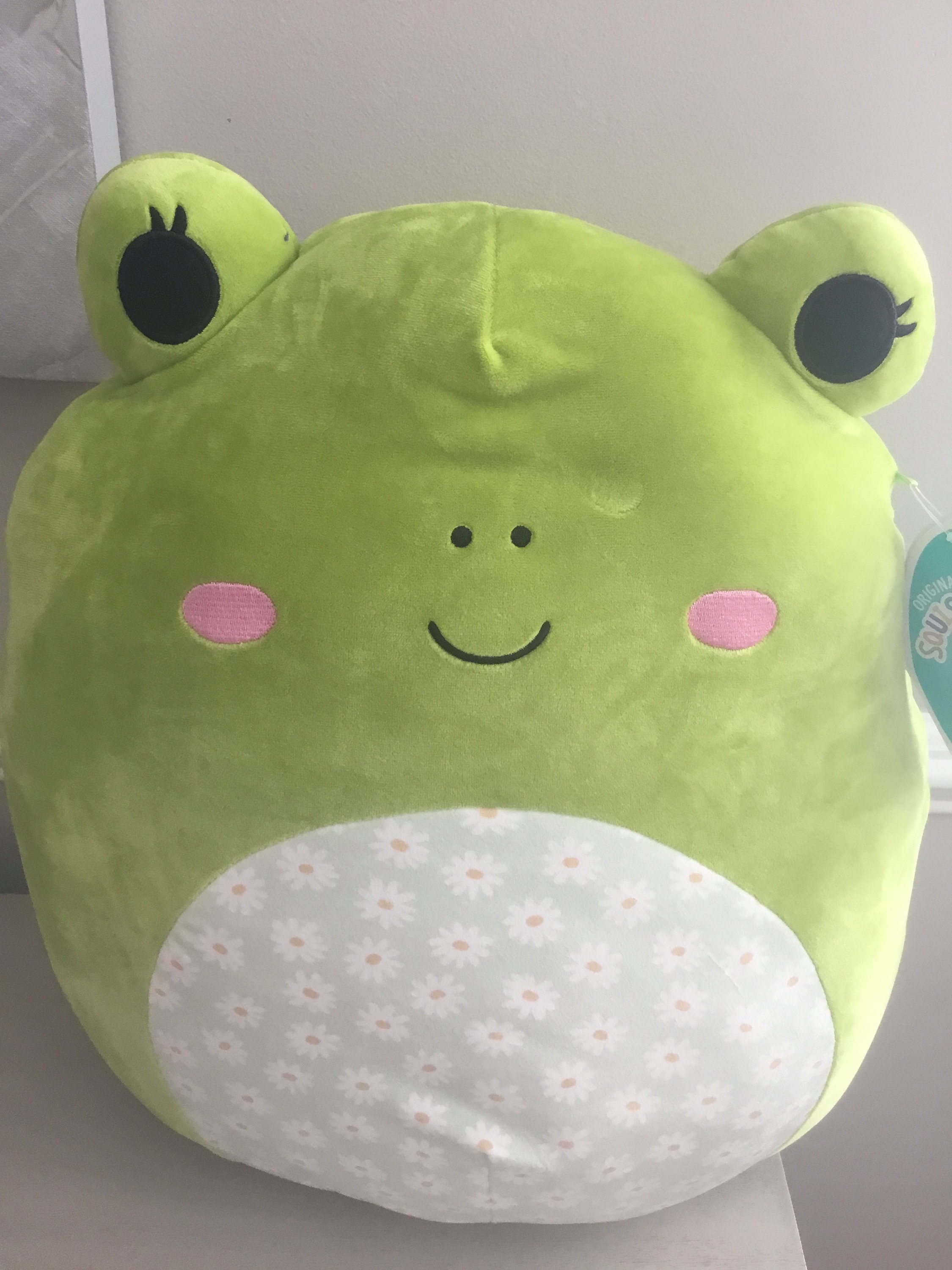 flower belly wendy 16” squishmallow munimoro.gob.pe
