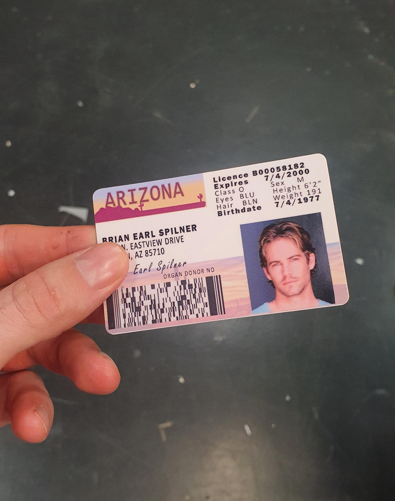 Paul Walker ID Card Plastic Parody Prop Gift Novelty Brian Etsy