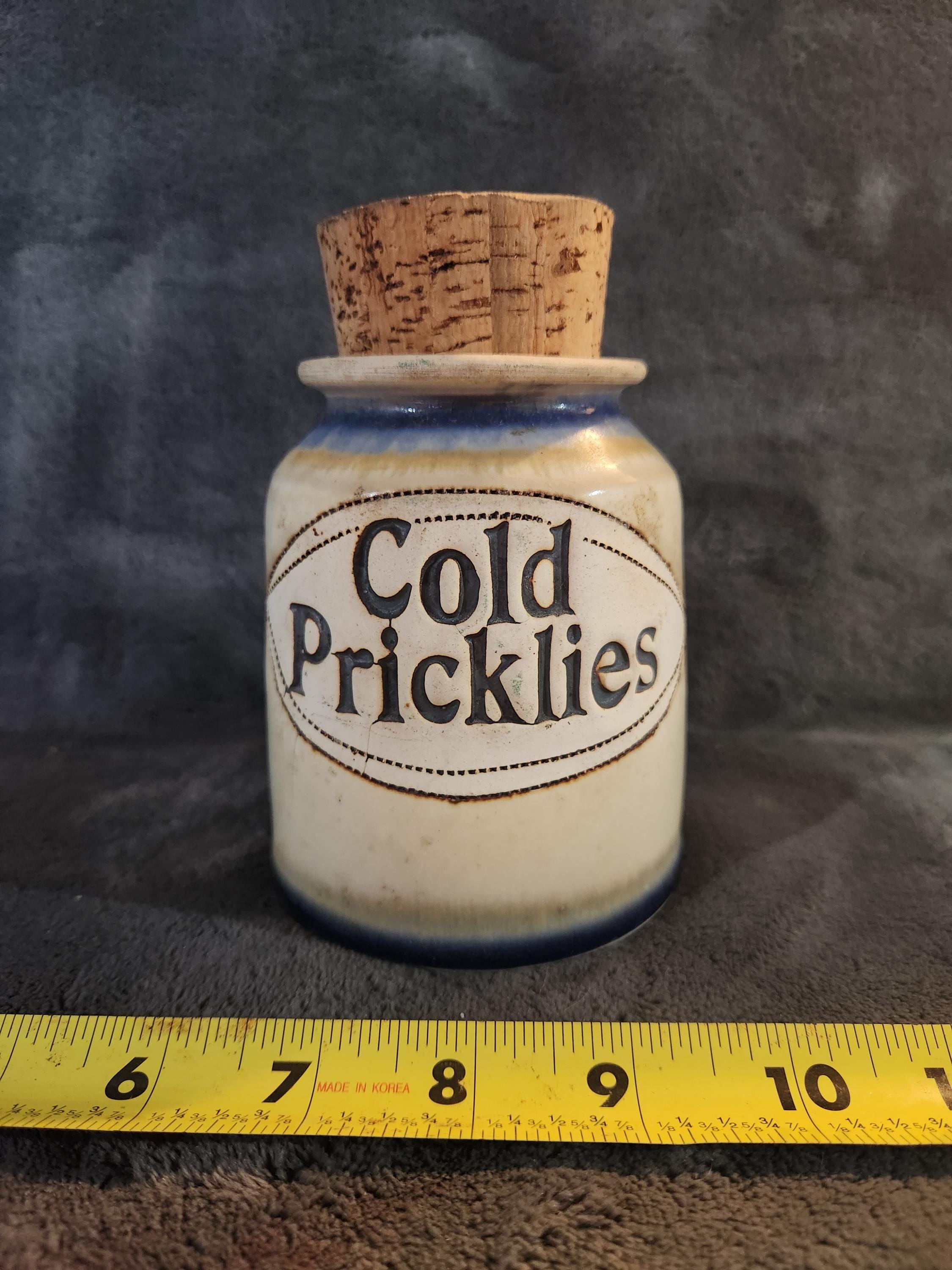 Vintage Dr. Brophy Word Jars Pottery 