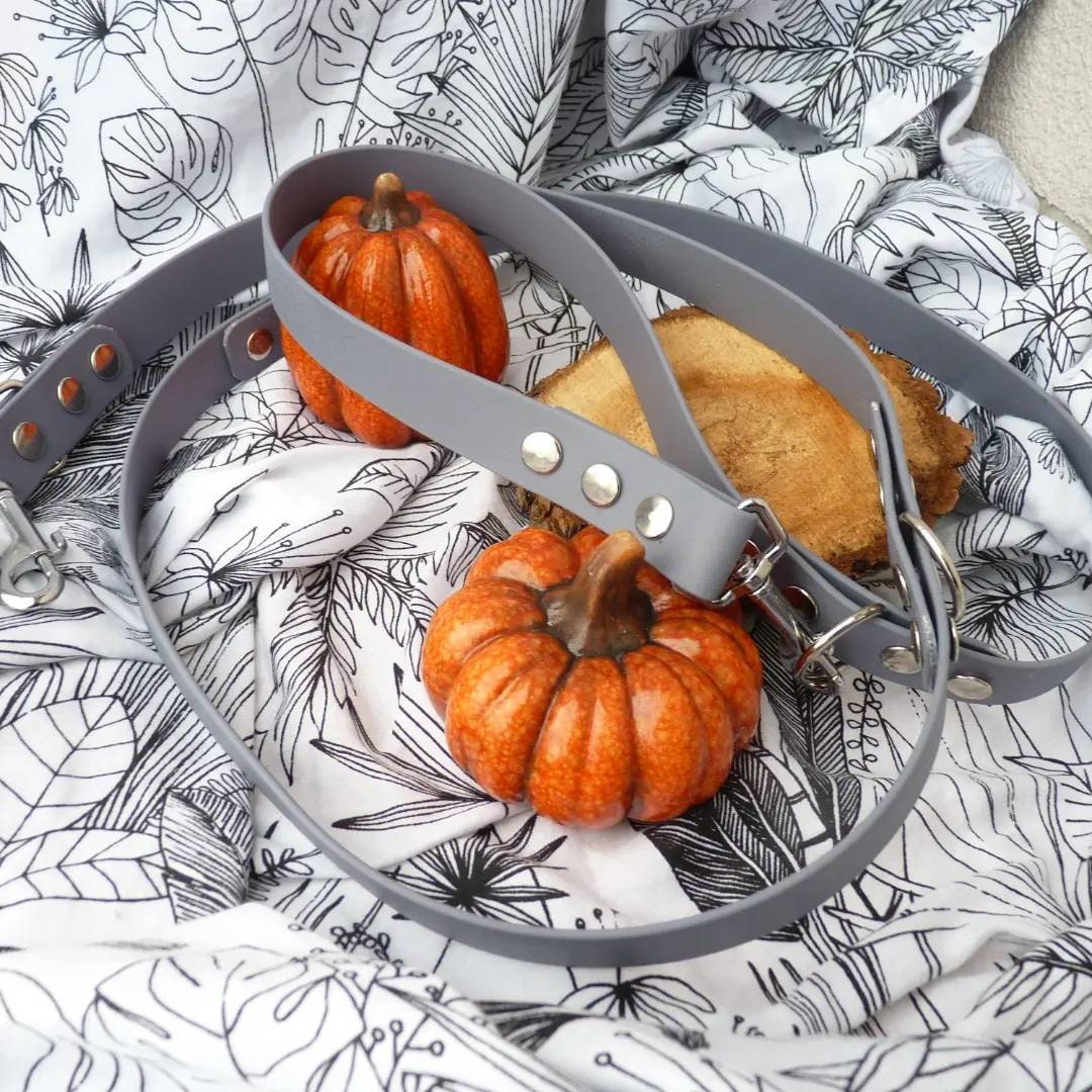 Laisse Multiposition en Biothane