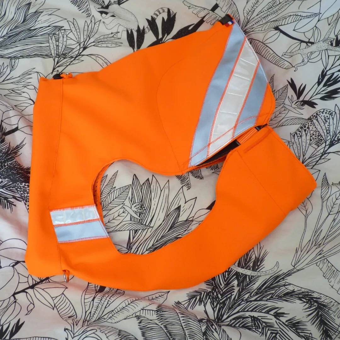 Gilet Haute Visibilité Pour Chien