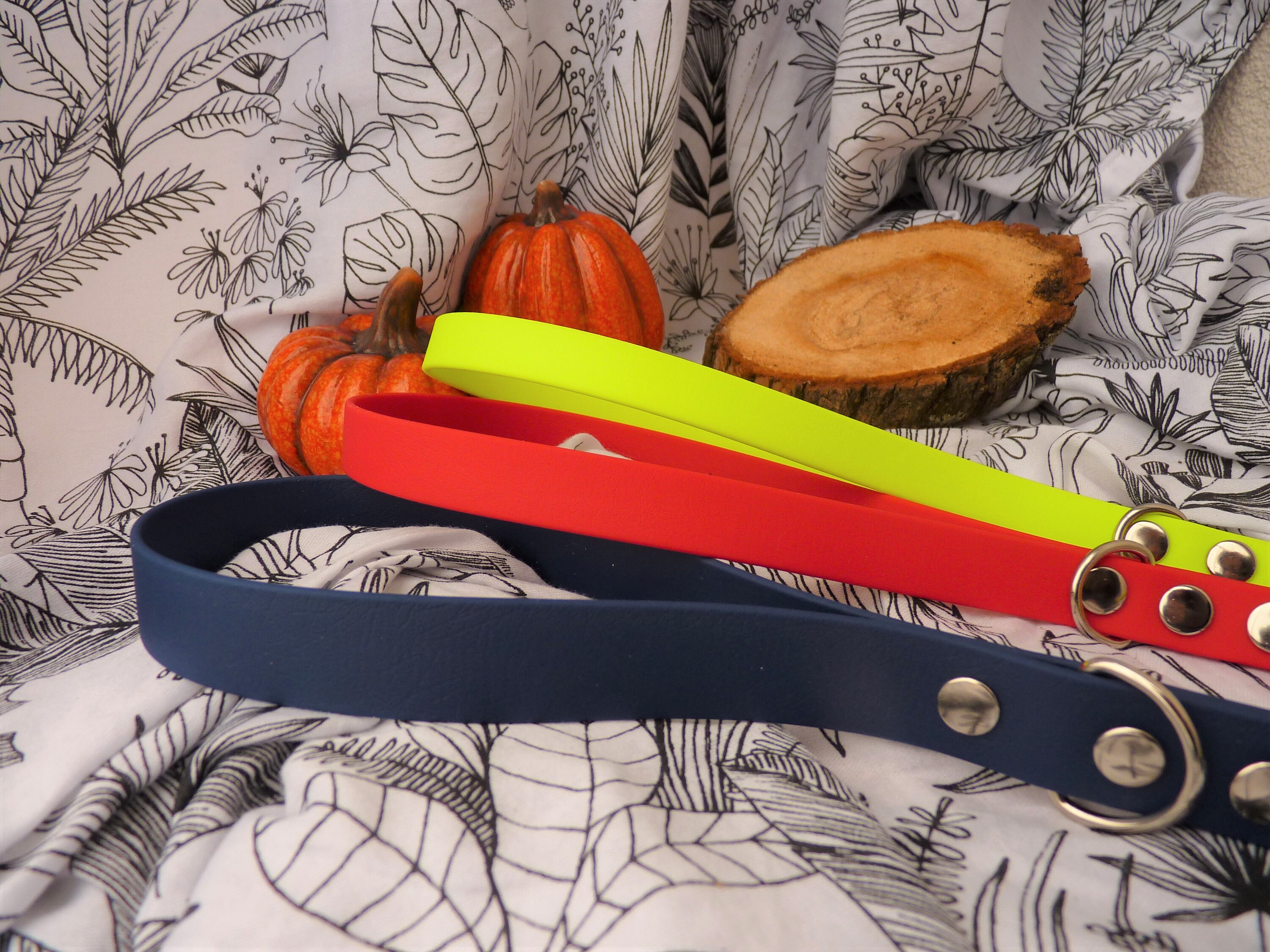 Laisse en Biothane 1, 5M