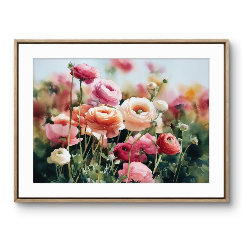 Pink Ranunculus Landscape Ranunculus Flowers Watercolor Giclée Print, Vibrant Botanical Bloom ...