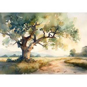 水彩画のオークの木とフィールドロードの風景画、ゴールデンアワーの田園風景のアートプリント、素朴な農家の壁ポスター