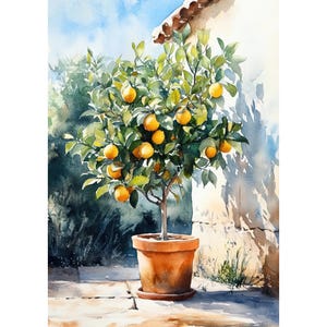 May include: Watercolor painting of a small orange tree in a terracotta pot. The tree is laden with ripe oranges and green leaves. The background features a stone wall and a glimpse of a blue sky.