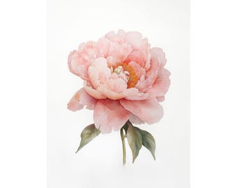 Pink Peony Watercolor Art Print – Peach Blossom Botanical Floral Wall Art, Soft Romantic Flower Illustration for Bedroom Decor