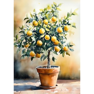 Stampa artistica da parete con acquerello di albero di limone - Decorazione da cucina con agrumi toscani, poster con pittura botanica di frutta in vaso di terracotta mediterranea