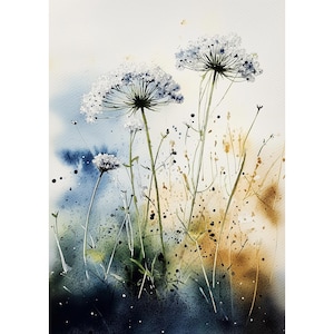 Queen Anne’s Lace Wildflower Watercolor Print • Modern Blue-Gold Botanical Wall Art for Cottagecore & Rustic Homes