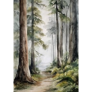 Könnte beinhalten: Aquarellmalerei einer Waldszene mit hohen Bäumen und einem Weg, der in die Ferne führt. Das Kunstwerk zeigt eine gedämpfte Farbpalette aus Grün-, Braun- und Grautönen und schafft eine ruhige und naturalistische Landschaft.