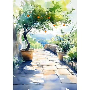 Op de afbeelding: Aquarel schilderij van een zonnige buitenscène. Een sinaasappelboom in een terracotta pot staat op een stenen pad. De boom heeft groene bladeren en oranje vruchten. Een stenen muur en ander groen zijn ook zichtbaar.