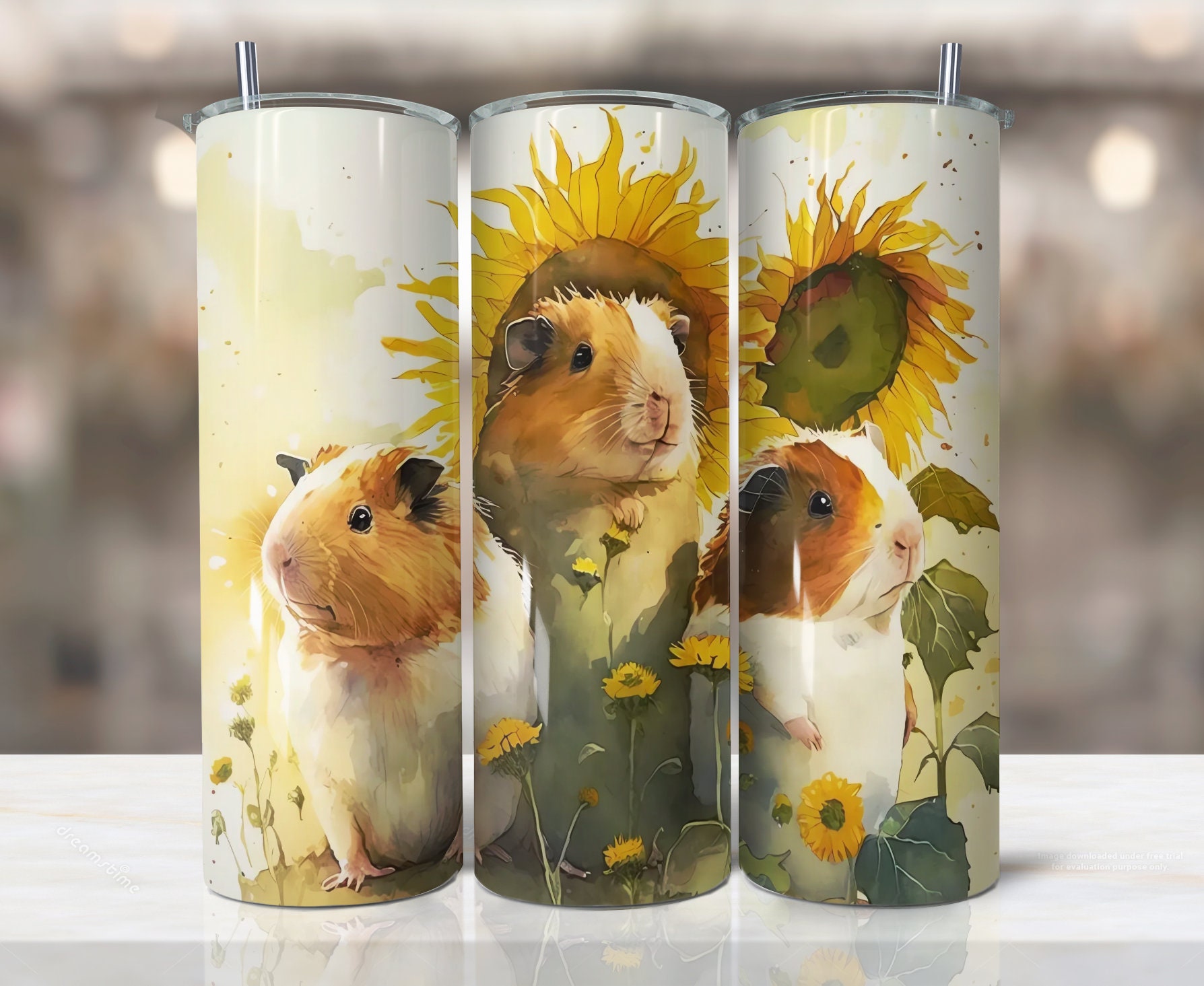 Dreamstime Cute Little Guinea Pigs Buy Guinea Pig Sunflower Online