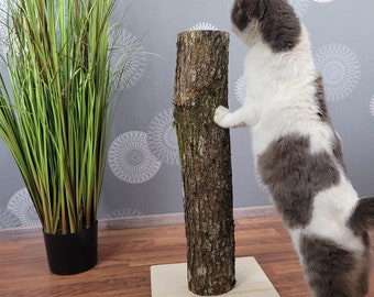 Fortuna BIO scratching post | Scratch trunk | approx. 60 cm high | Natural Wood