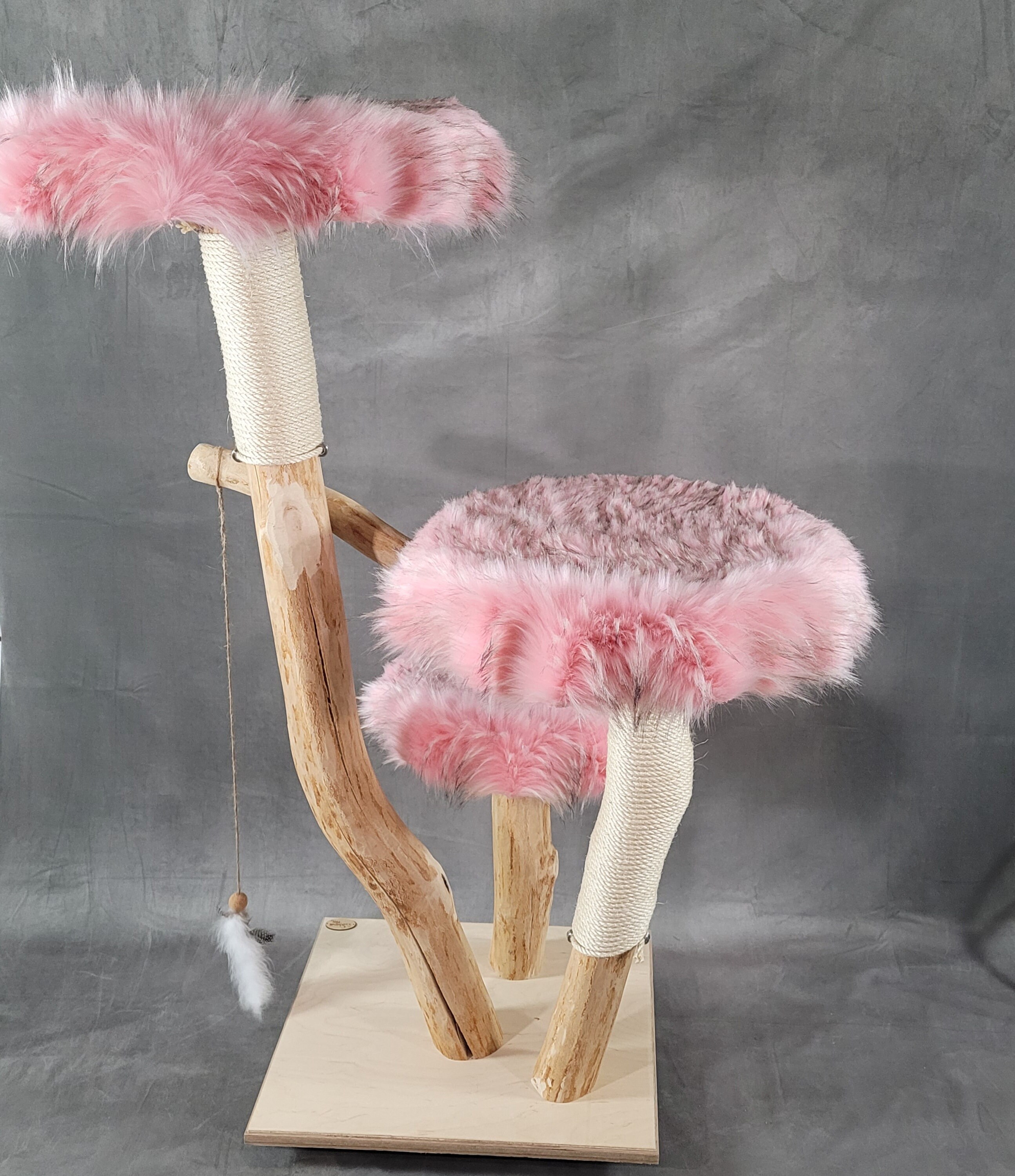 exklusiver kratzbaum