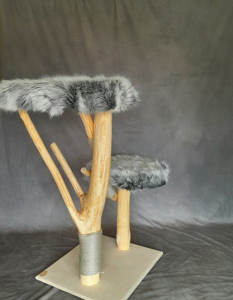 exklusiver kratzbaum