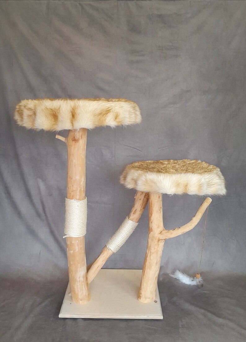 exklusiver kratzbaum