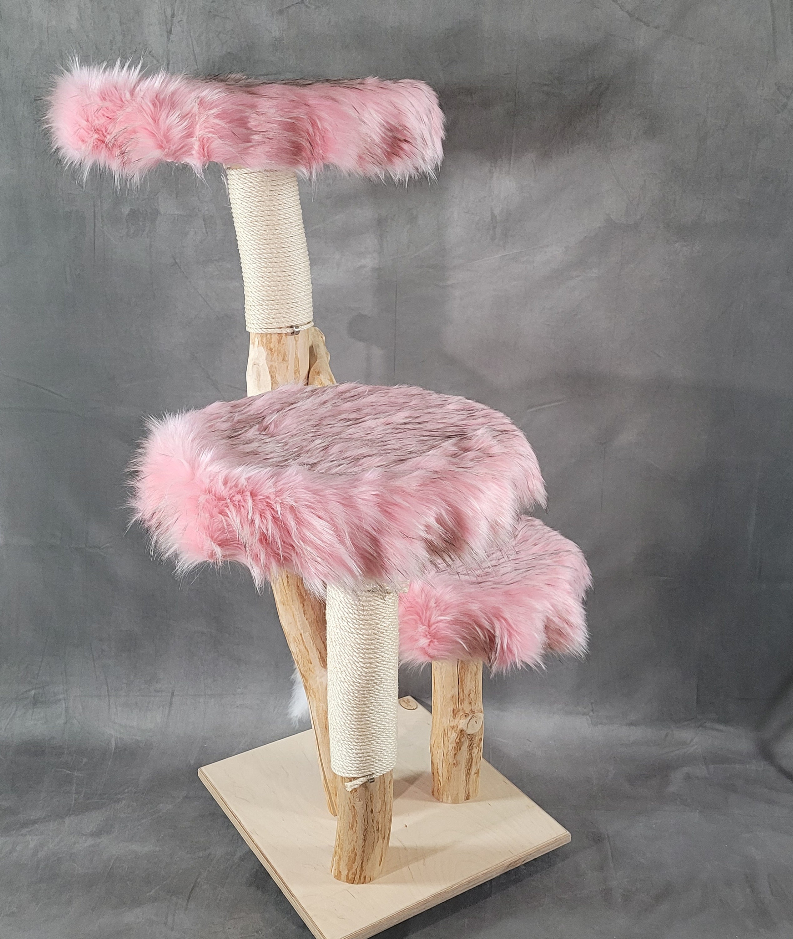 exklusiver kratzbaum