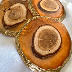 Epoxy Resin Wood Coasters, Housewarming Gift, Blue Resin Coasters, Unique Wood Textures, epoxy coaster decorated birch tree moss and ambers,