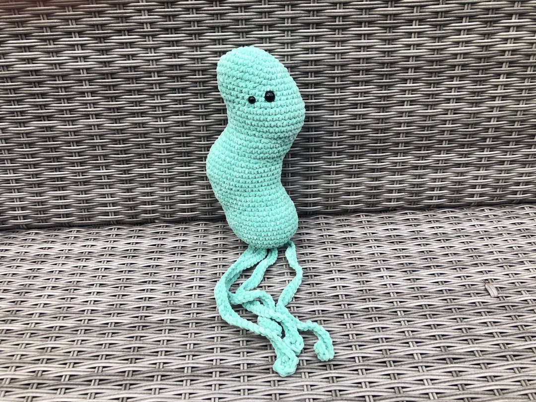 Bacterium Plushie Helicobacter Pylori Amigurumi Bacterium Crocheted ...