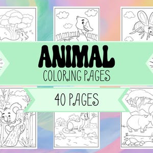 40 Cute Animal Coloring Book Pages - Zoo, Farm, Land & Sea, Desert, Forest Animals and Birds- Animal Coloring Pages for Kids and Teachers