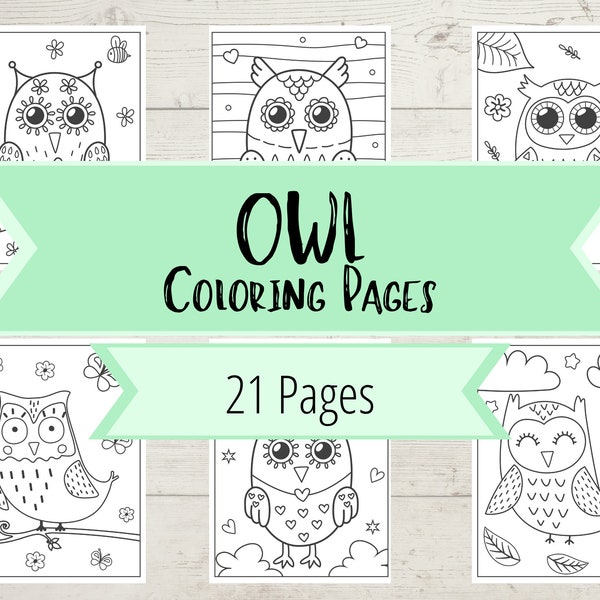 Owl Coloring Book Pages - 21 Owl Pictures to Color - Owls, Birds, Outdoors Coloring Pages - Coloring Book for Boys & Girls - Printable Pages