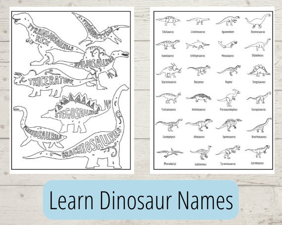 Dinosaur Coloring Pages 40 Dinosaur Pictures to Download & - Etsy
