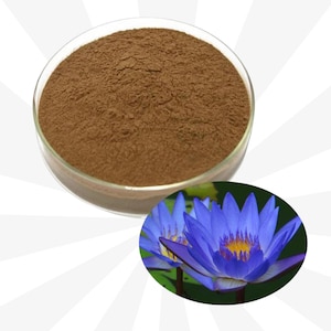 Blue Lotus Flower 20X Extract | Nymphaea Caerulea | High Quality 3.5 Gram
