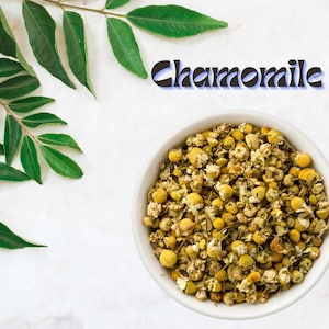 28g Dried Chamomile 100% Organic | Dried Herbs | Herbal Tea | All Natural | All Organic, No Additives