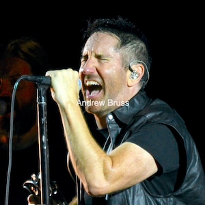 Nine Inch Nails Performing Live. Glossy Concert Print