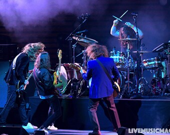 My Morning Jacket Performing Live. Limited Edition Glossy Print