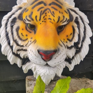 Stunning tiger head to display on wall