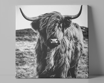 Black and White Highland Cow Canvas Art, Rustic Farmhouse Decor