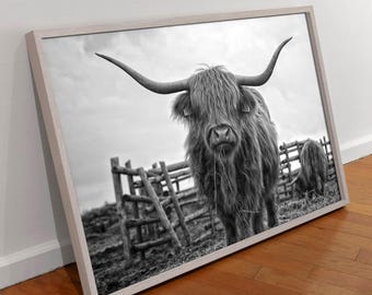 Toile vache Highland : oeuvre d'art murale de ferme rustique