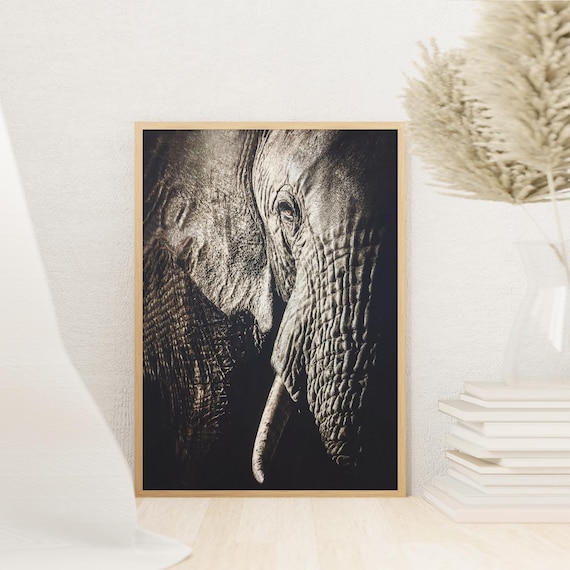 Elephant Face Canvas Print: Animal Wall Art Decor