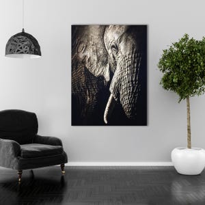 Peut inclure: Une photographie en noir et blanc en gros plan du visage d'un &eacute;l&eacute;phant. L'&oelig;il de l'&eacute;l&eacute;phant est visible et sa trompe est enroul&eacute;e.