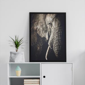Peut inclure: Une photographie en noir et blanc d'un &eacute;l&eacute;phant, encadr&eacute;e dans un cadre noir. La trompe de l'&eacute;l&eacute;phant est visible et son &oelig;il est partiellement ferm&eacute;.