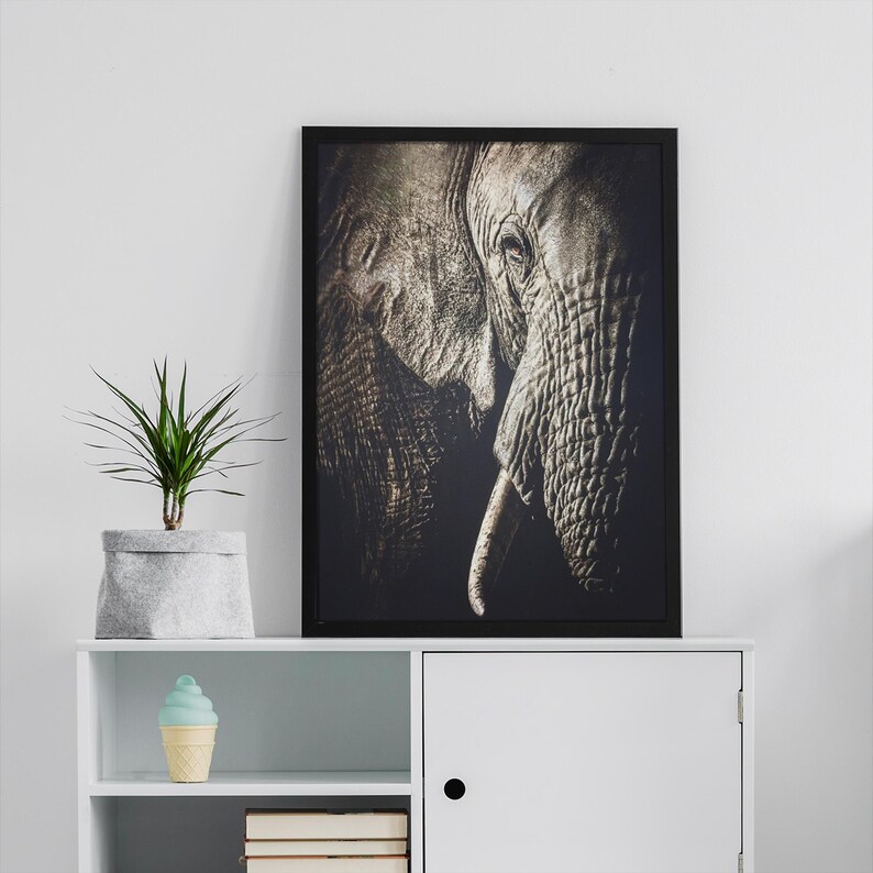 Peut inclure: Une photographie en noir et blanc d'un &eacute;l&eacute;phant, encadr&eacute;e dans un cadre noir. La trompe de l'&eacute;l&eacute;phant est visible et son &oelig;il est partiellement ferm&eacute;.