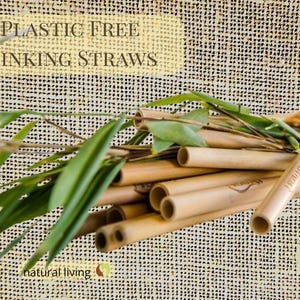 Juego de pajitas de bambú reutilizables con 2 cepillos de limpieza – Pajitas sin plástico – Cocina ecológica – Regalo sostenible sin residuos