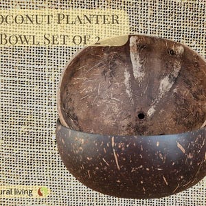 Kokosnötsskål Set med 2 – Naturliga kokosnötsskalskrukor – Inomhusväxtdekor – Hållbart bohemiskt hem – Suckulentkruka