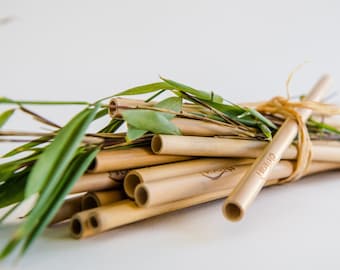 10 pailles en bambou réutilisables, brosse de nettoyage de 4 à 8 mm