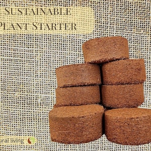 Pellets de fibra de coco – Cápsulas para germinación de semillas – Sustrato expandible – Jardín sin turba – Germinación sostenible para plantas