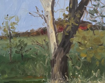 Original Impressionist Landscape Oil Painting - Autumn Landscape Art - 9" x 12"